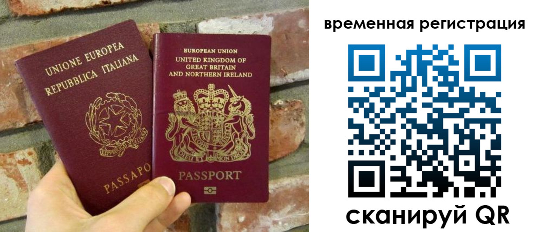 прописка для школы в Губкинском